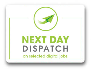 Next day dispatch